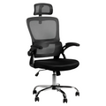 Silla Presidencial Oxford