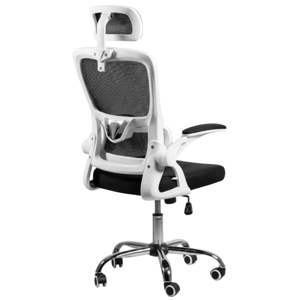 Silla Presidencial Oxford