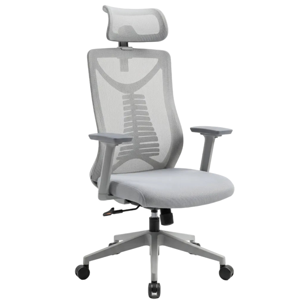 Silla Presidencial Zenit