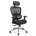 Silla Presidencial Francia