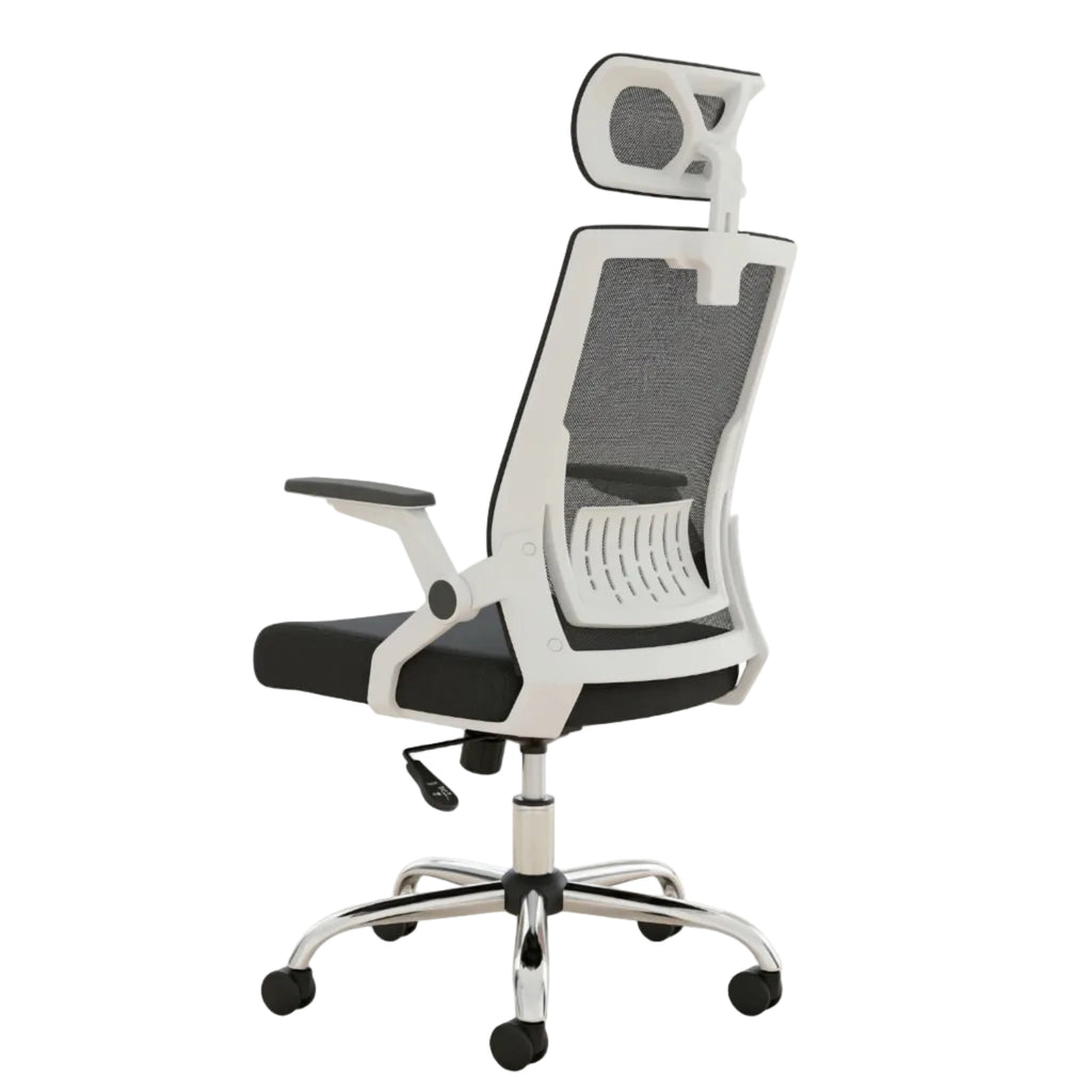 Silla Presidencial Madison
