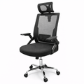 Silla Presidencial Madison