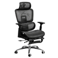 Silla Presidencial TRD