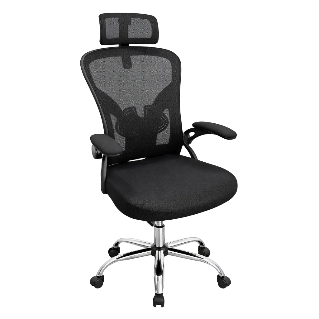 Silla Presidencial Frankfurt