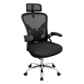 Silla Presidencial Frankfurt