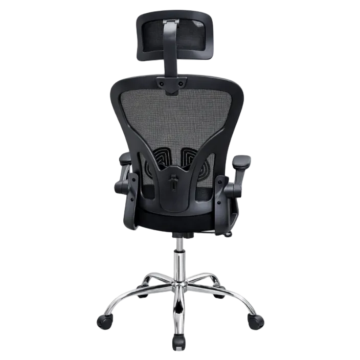 Silla Presidencial Frankfurt