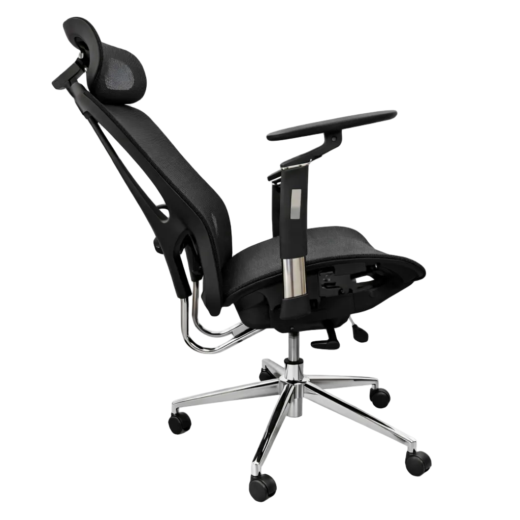 Silla Presidencial Lexus