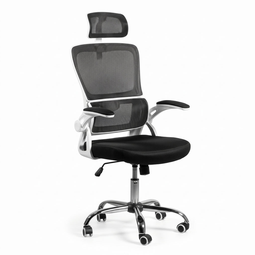 Silla Presidencial Oxford